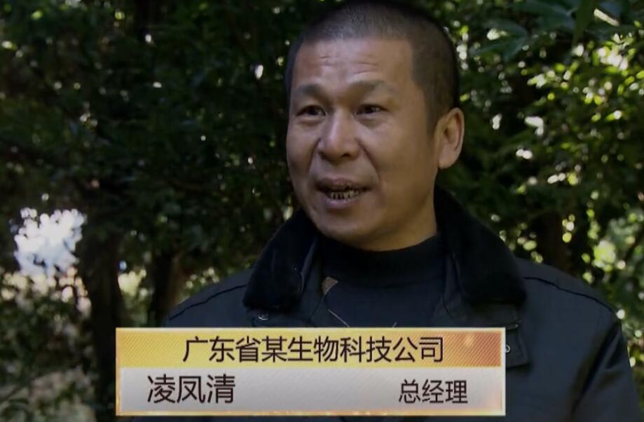 梅片樹(shù)專(zhuān)題登上央視七套綠色時(shí)空欄目