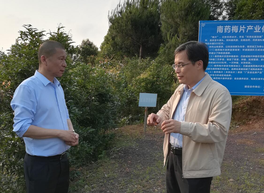 “望聞問切”支高招，“對癥下藥”獻(xiàn)良策——中國工程院院士黃璐琦為梅片產(chǎn)業(yè)發(fā)展建言獻(xiàn)策