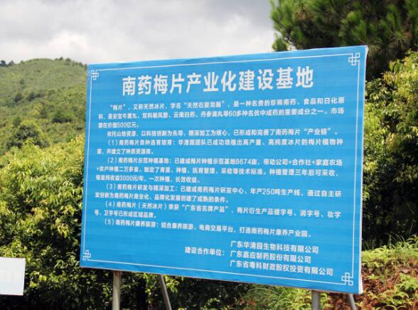平遠(yuǎn)南藥產(chǎn)業(yè)園：創(chuàng)新緊密型的聯(lián)農(nóng)帶農(nóng)機(jī)制！挖掘500億元梅片市場(chǎng)價(jià)值