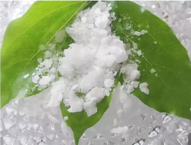 梅片來(lái)源