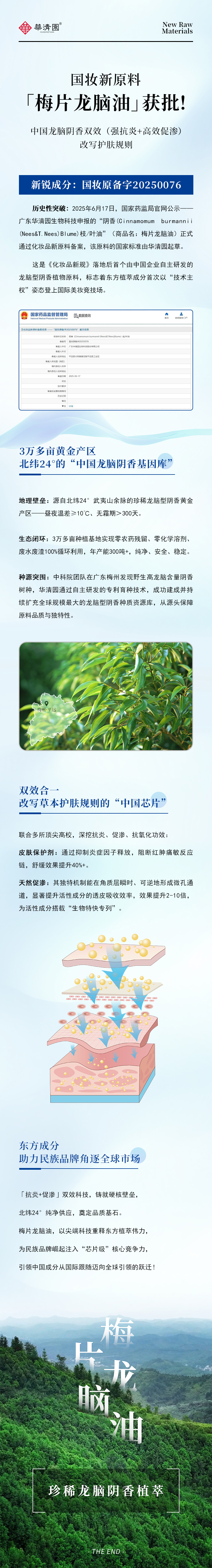 梅片龍腦油--中國首個(gè)自主研發(fā)龍腦型陰香植物新原料獲批